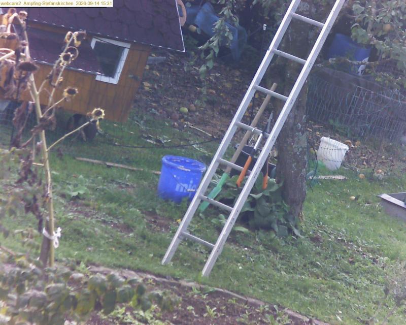 xxFoto von 2026-09-14_153127