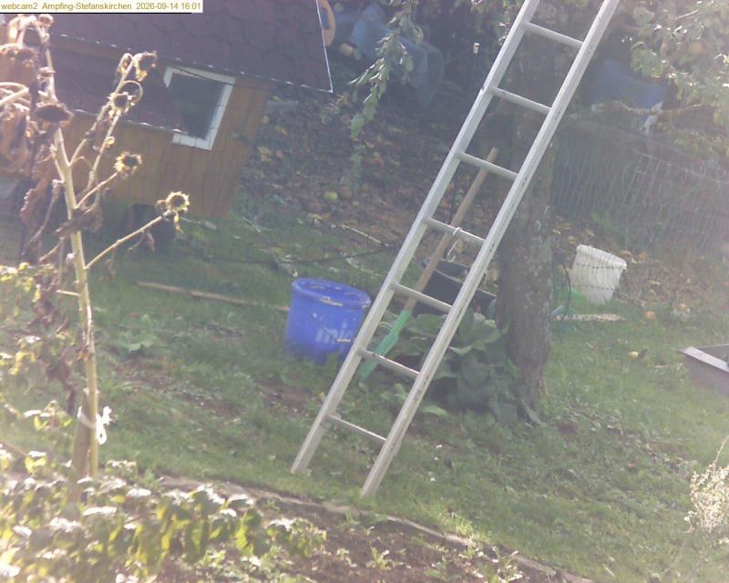 xxFoto von 2026-09-14_160127