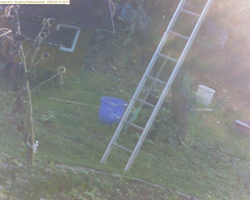xxFoto von 2026-09-14_183127