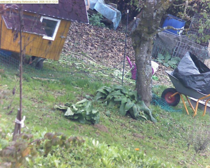 xxFoto von 2026-10-31_123123