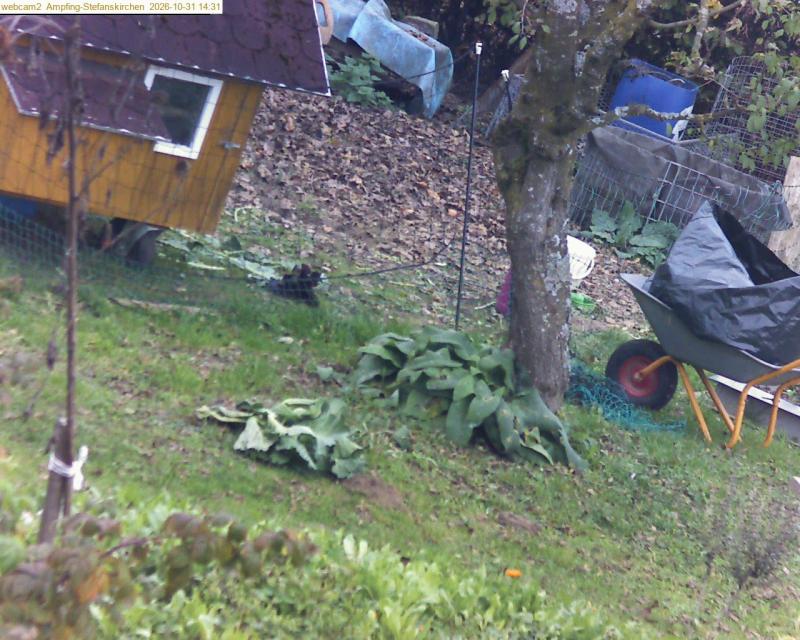 xxFoto von 2026-10-31_143126