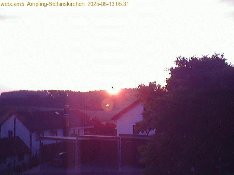 xxFoto von 2025-06-13_053130