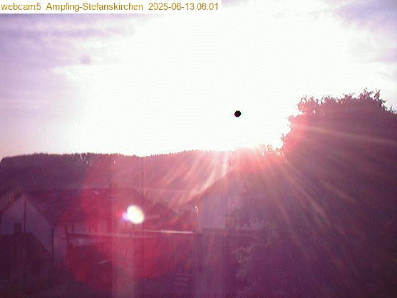 xxFoto von 2025-06-13_060128