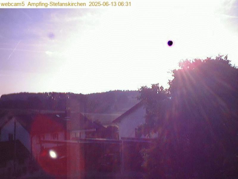xxFoto von 2025-06-13_063129