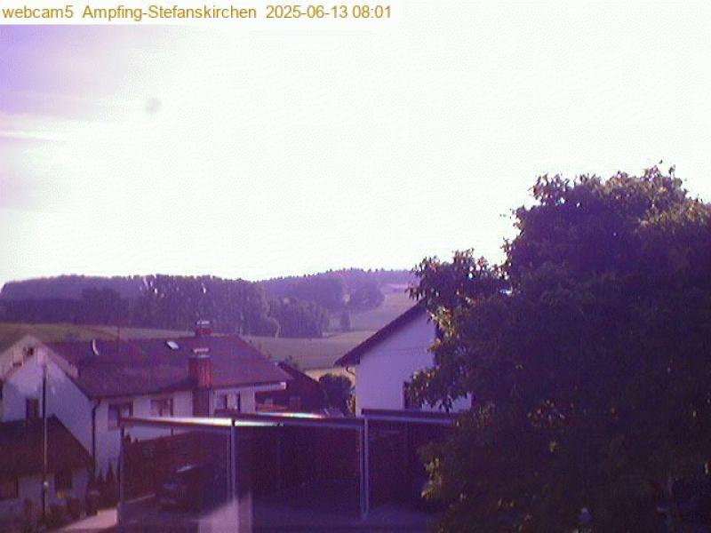 xxFoto von 2025-06-13_080130