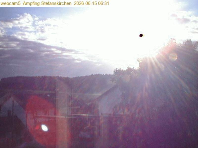 xxFoto von 2026-06-15_063120