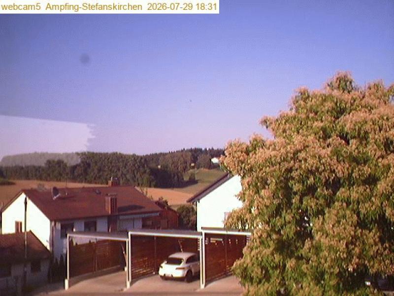 xxFoto von 2026-07-29_183124