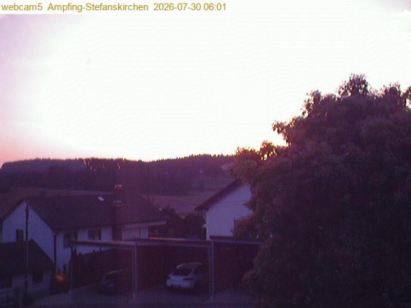 xxFoto von 2026-07-30_060119