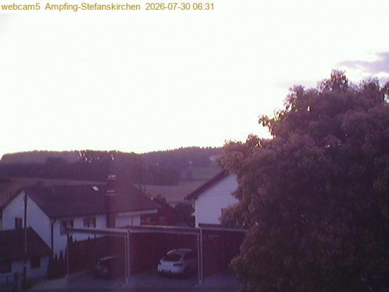 xxFoto von 2026-07-30_063151
