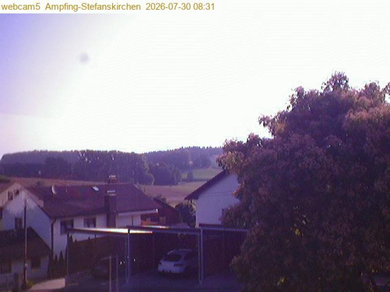 xxFoto von 2026-07-30_083121