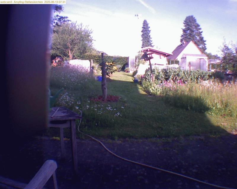 xxFoto von 2025-06-13_073135
