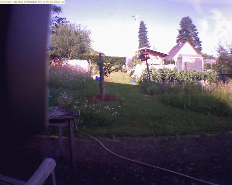 xxFoto von 2025-06-13_083135