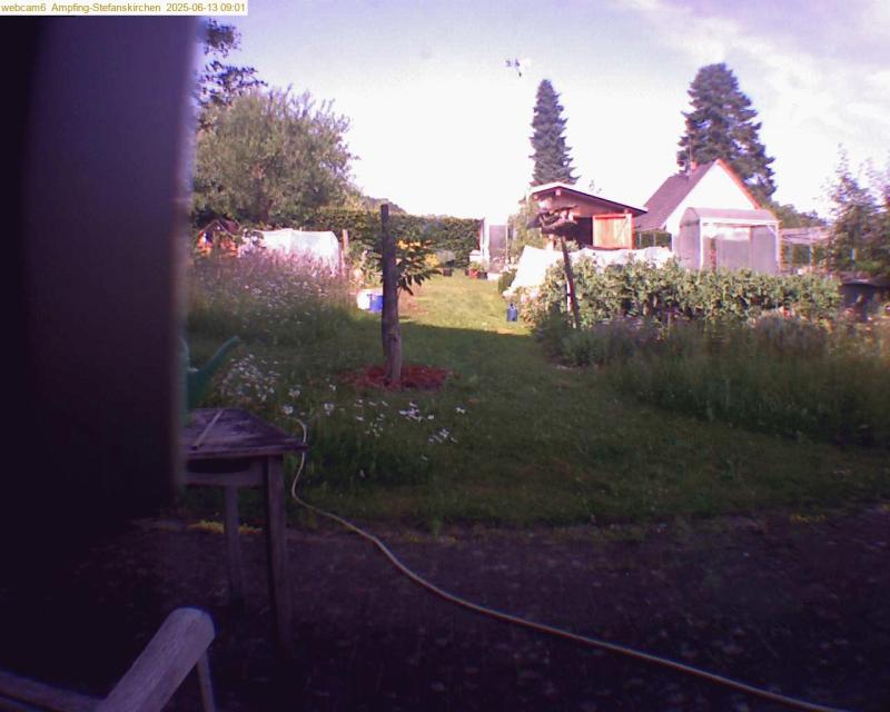 xxFoto von 2025-06-13_090135
