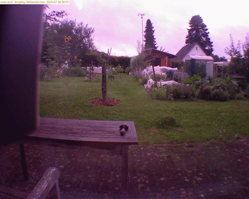 xxFoto von 2025-07-28_060139