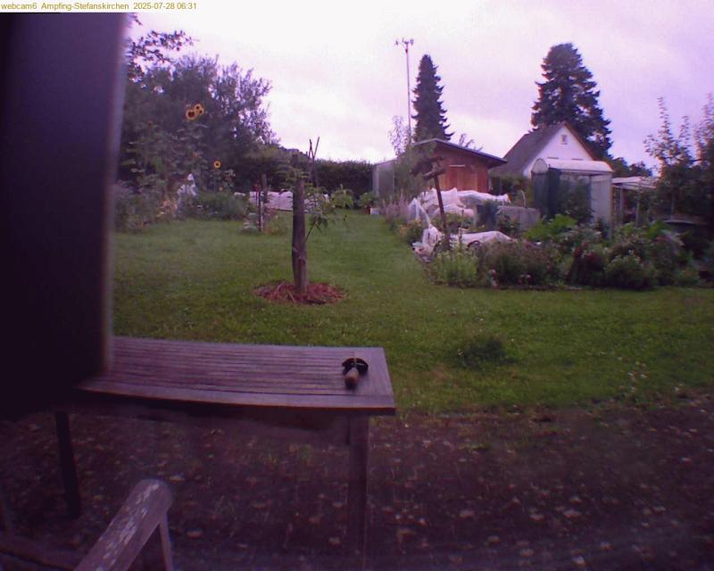 xxFoto von 2025-07-28_063136
