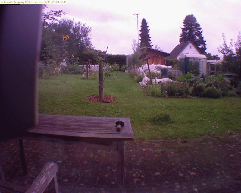 xxFoto von 2025-07-28_070140