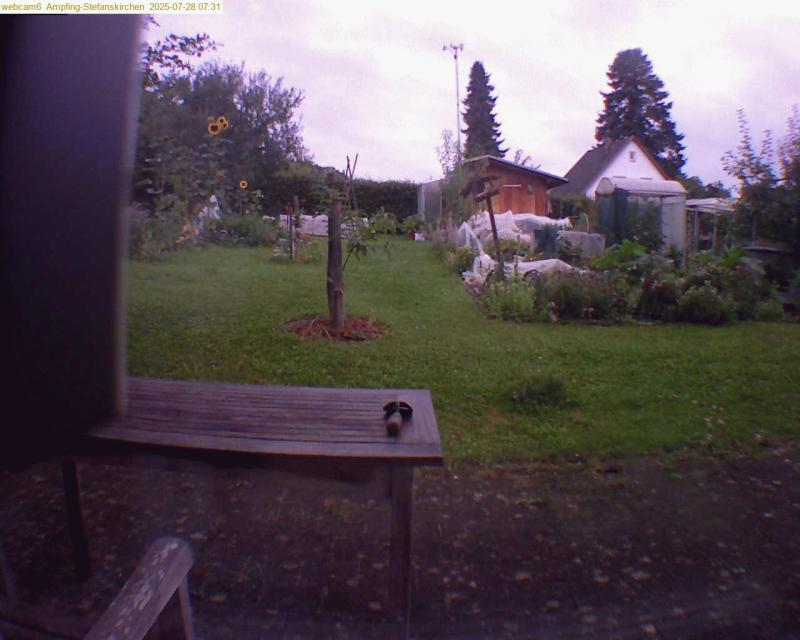 xxFoto von 2025-07-28_073139