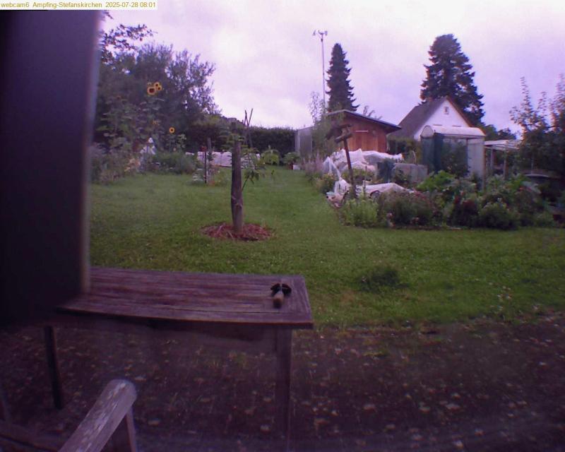 xxFoto von 2025-07-28_080138