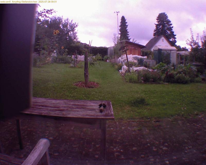 xxFoto von 2025-07-28_090136