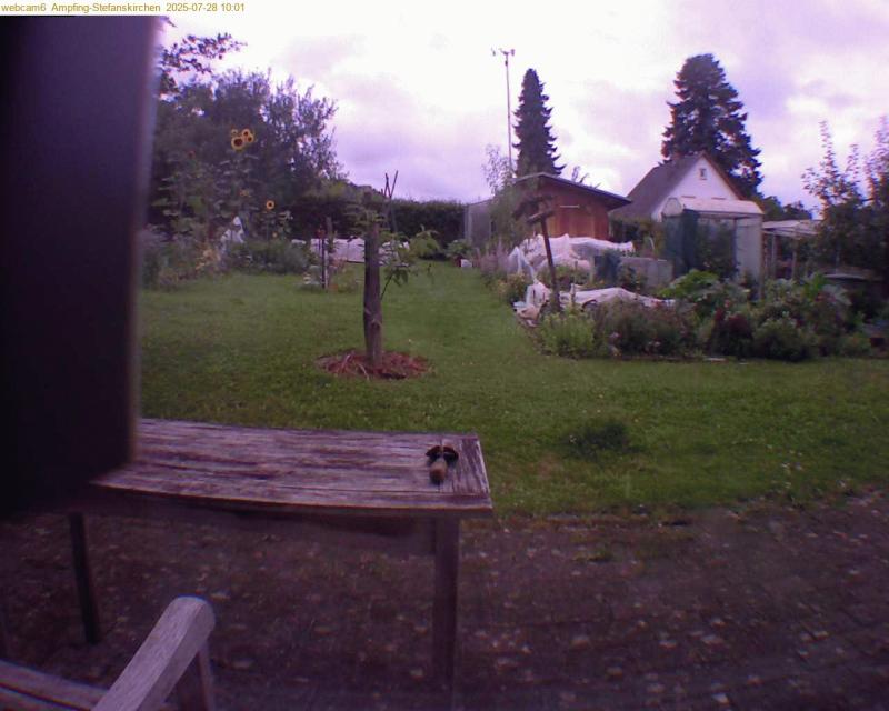 xxFoto von 2025-07-28_100138