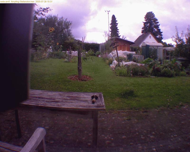 xxFoto von 2025-07-28_103137