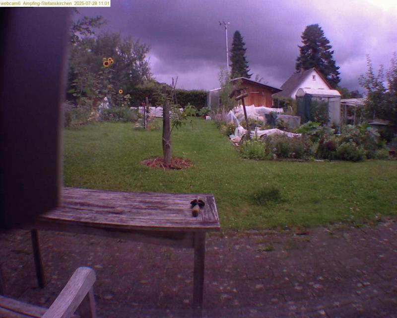 xxFoto von 2025-07-28_110136