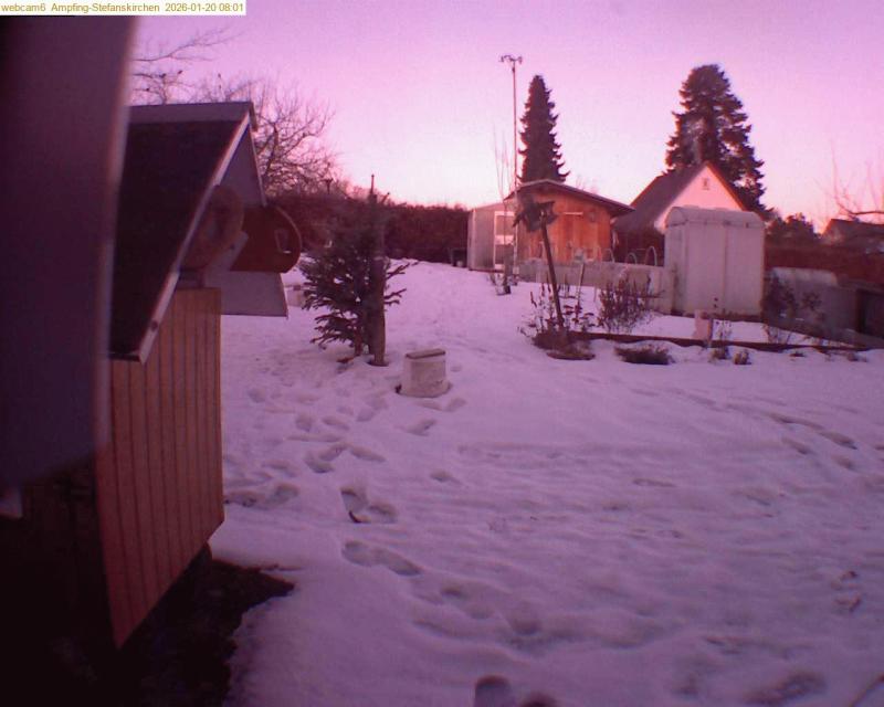 xxFoto von 2026-01-20_080124