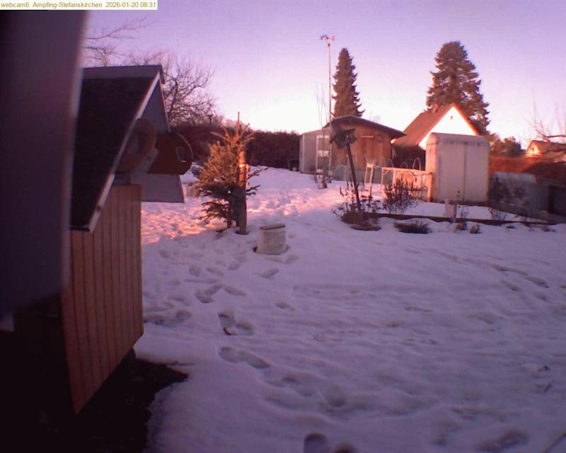 xxFoto von 2026-01-20_083123