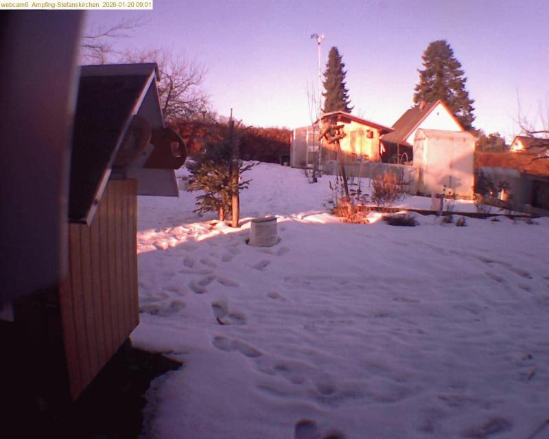 xxFoto von 2026-01-20_090126