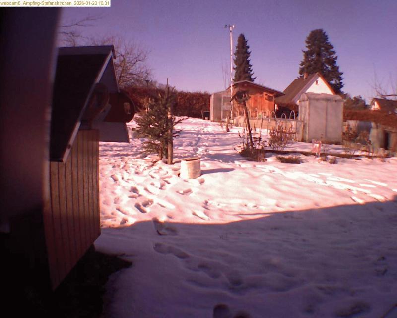 xxFoto von 2026-01-20_103121