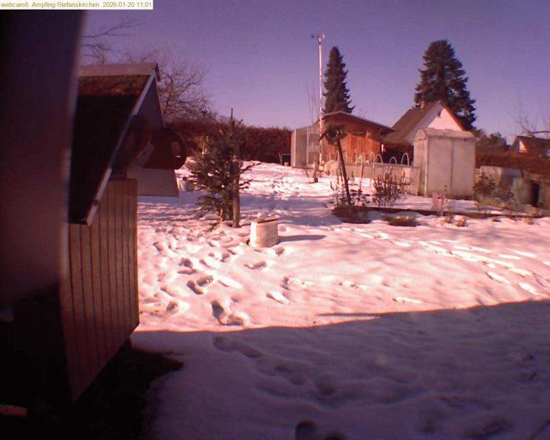 xxFoto von 2026-01-20_110125