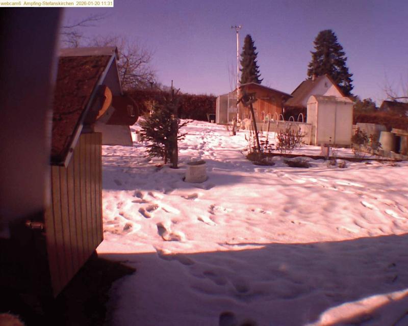 xxFoto von 2026-01-20_113122