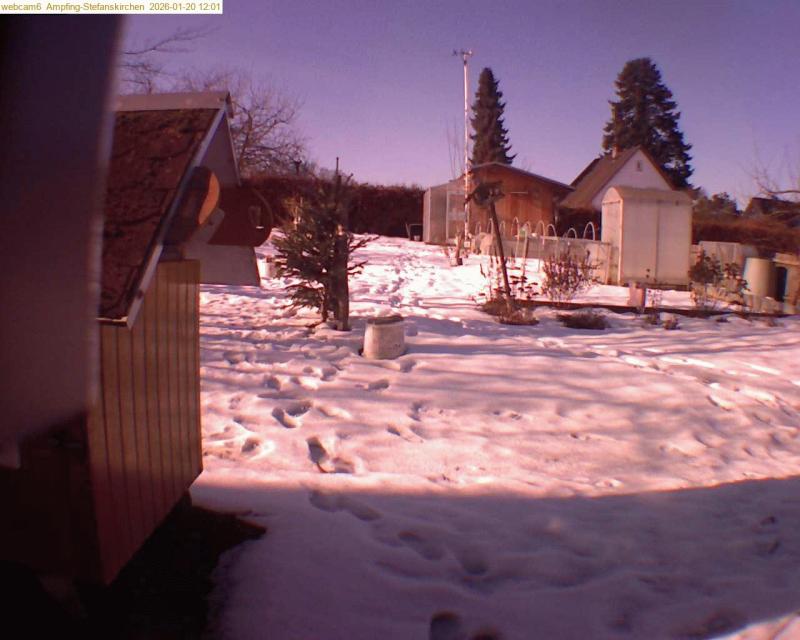 xxFoto von 2026-01-20_120120