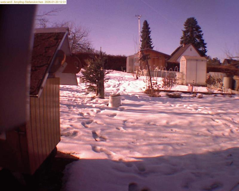 xxFoto von 2026-01-20_123121