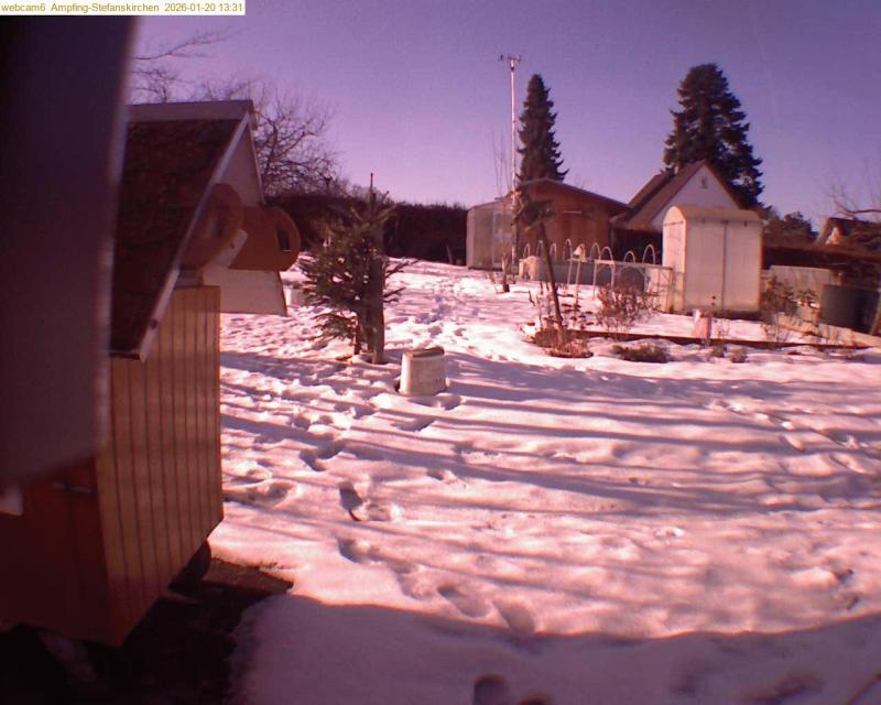 xxFoto von 2026-01-20_133125