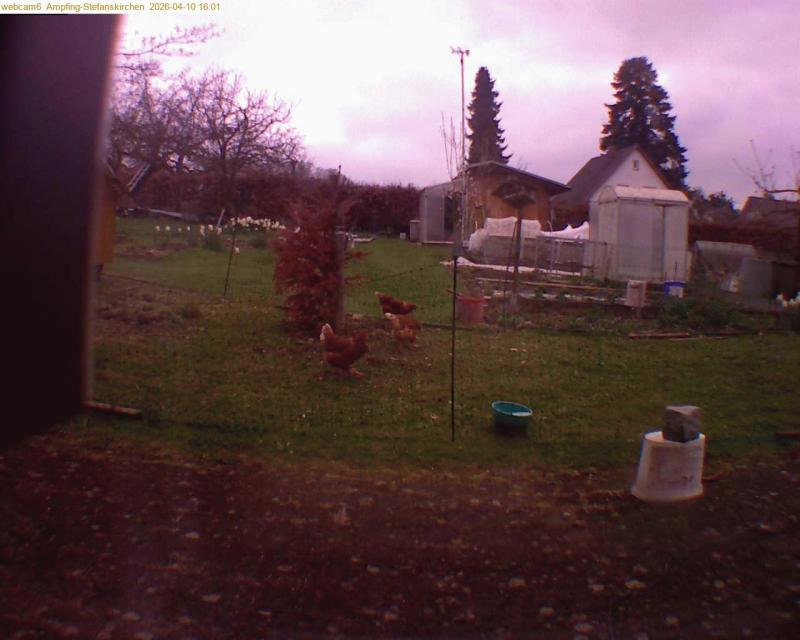 xxFoto von 2026-04-10_160120