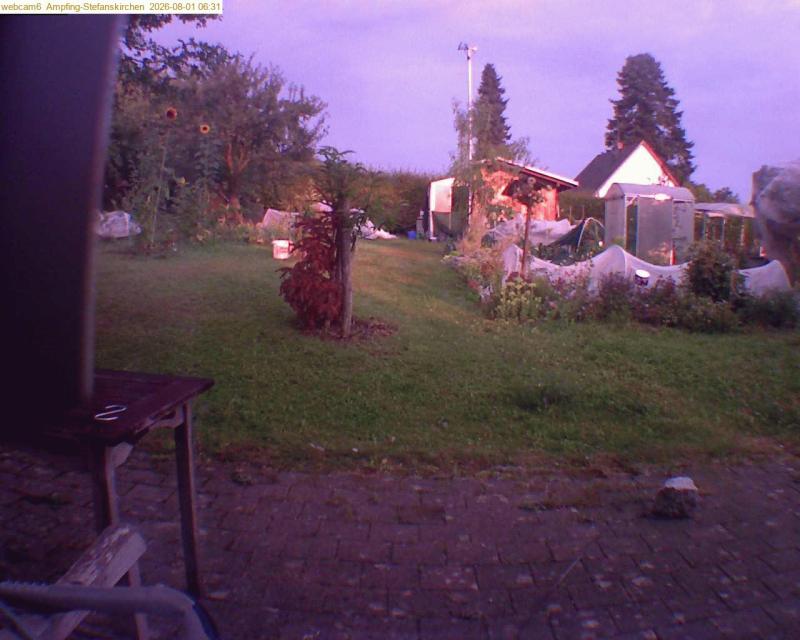 xxFoto von 2026-08-01_063123