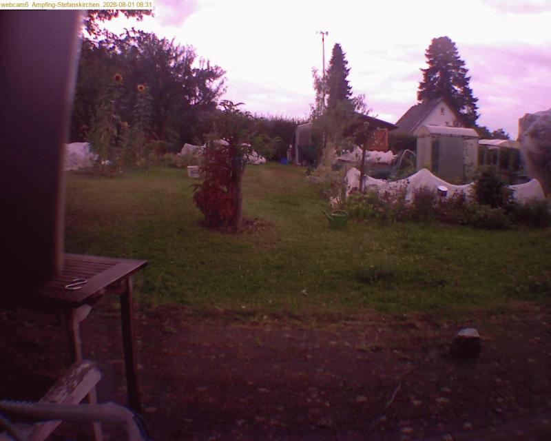 xxFoto von 2026-08-01_083126
