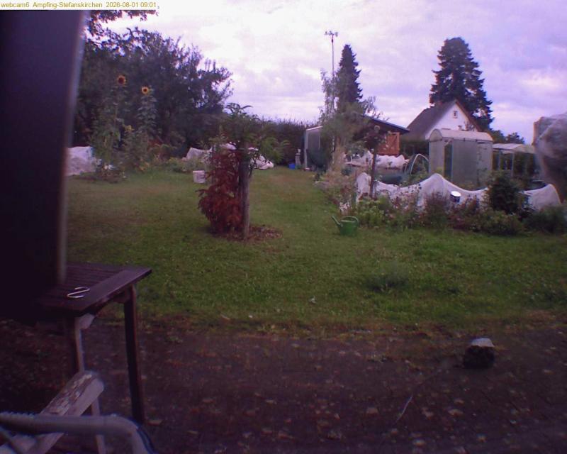 xxFoto von 2026-08-01_090126