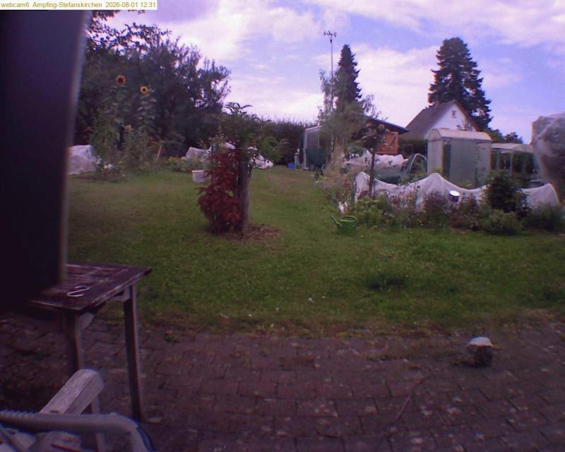 xxFoto von 2026-08-01_123127