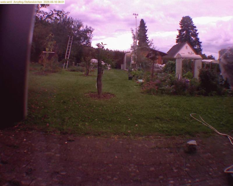 xxFoto von 2026-09-16_080126