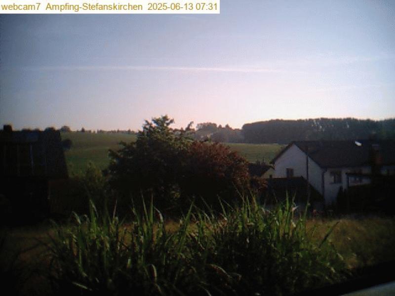 xxFoto von 2025-06-13_073119