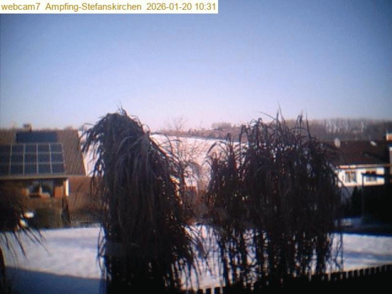 xxFoto von 2026-01-20_103105