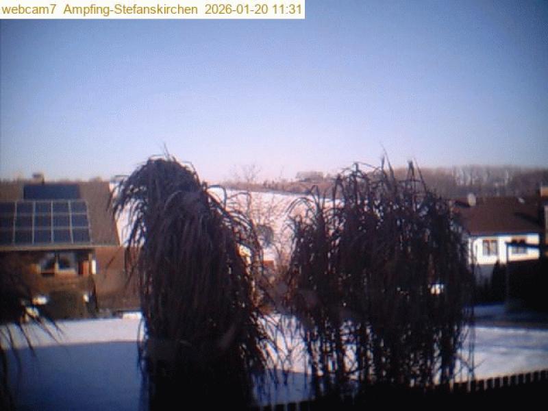 xxFoto von 2026-01-20_113106