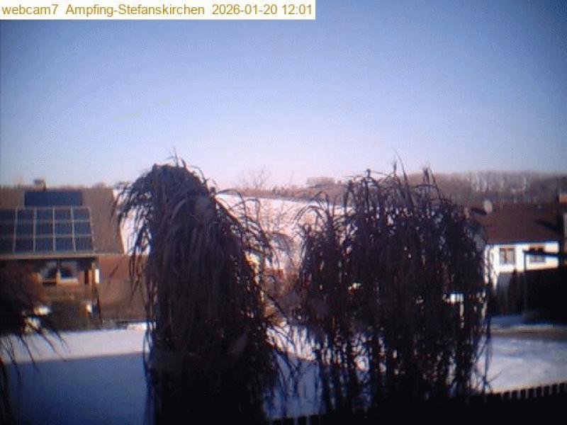 xxFoto von 2026-01-20_120105