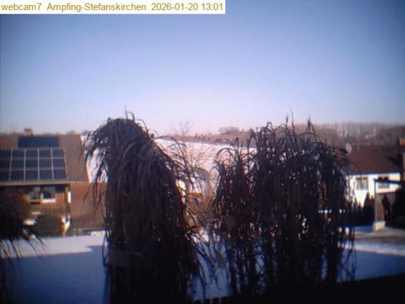 xxFoto von 2026-01-20_130105