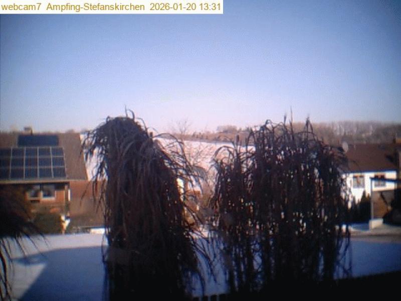 xxFoto von 2026-01-20_133110