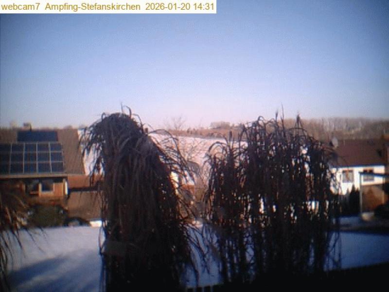 xxFoto von 2026-01-20_143104