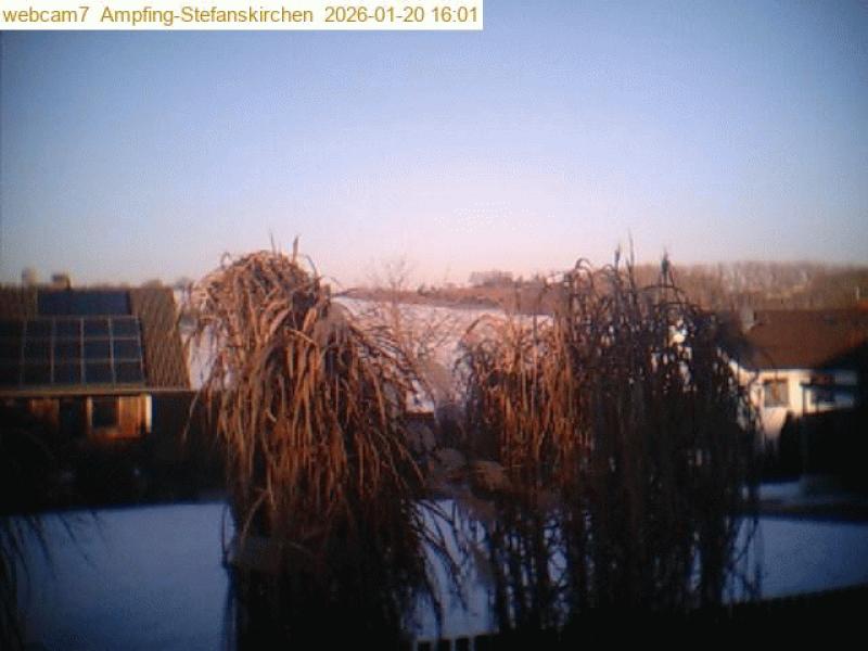 xxFoto von 2026-01-20_160104