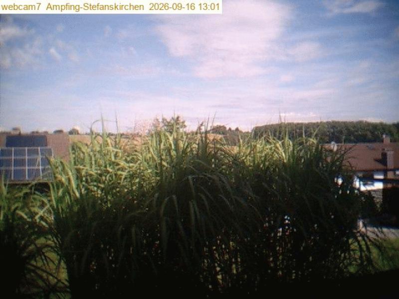 xxFoto von 2026-09-16_130109